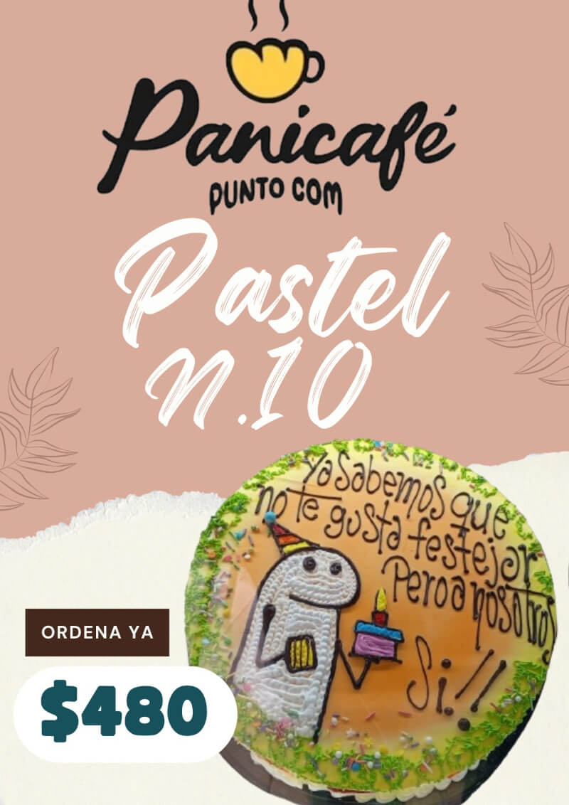 Pastel N10-1