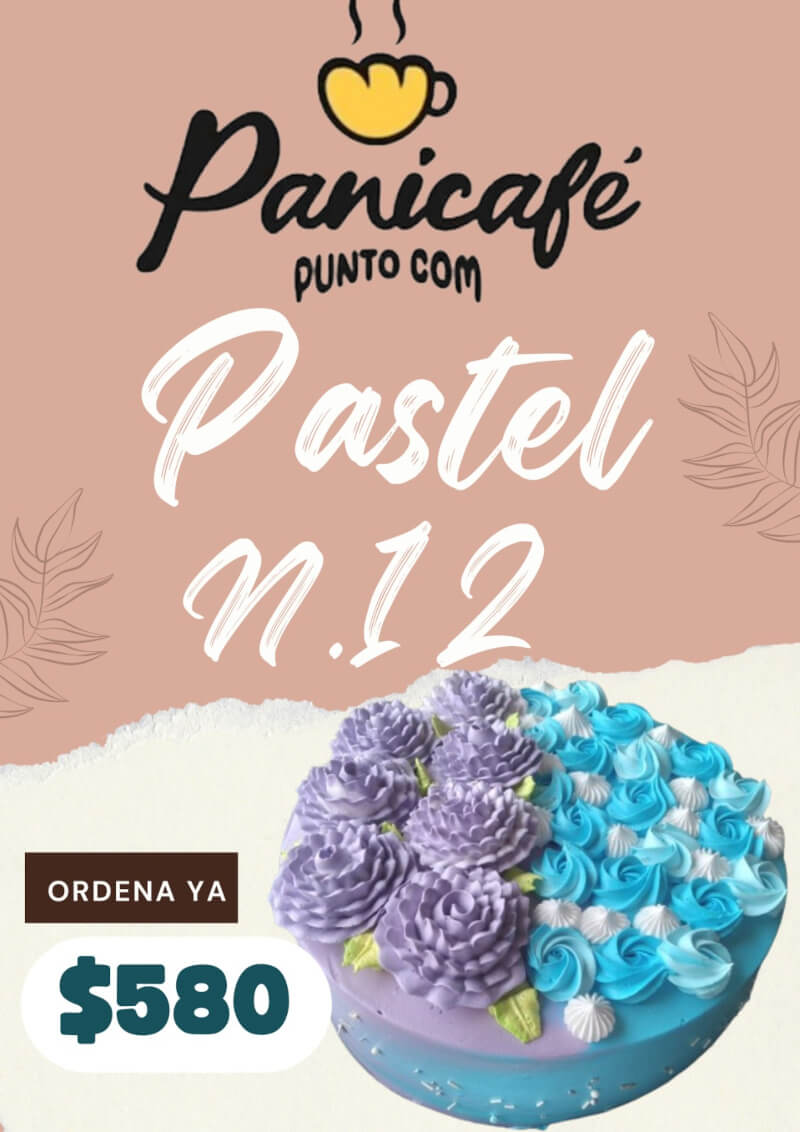 Pastel N12-2